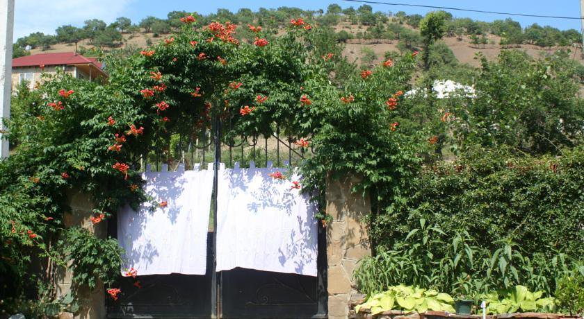 Гостиница Guest House Antik Солнечногорское-23