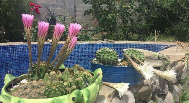 Гостиница Guest House Antik Солнечногорское-57